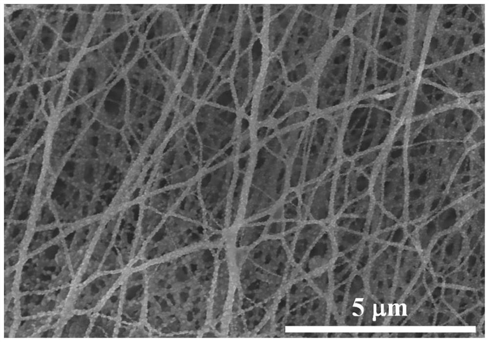 Flexible self-supporting positive electrode for sodium ion battery as ...