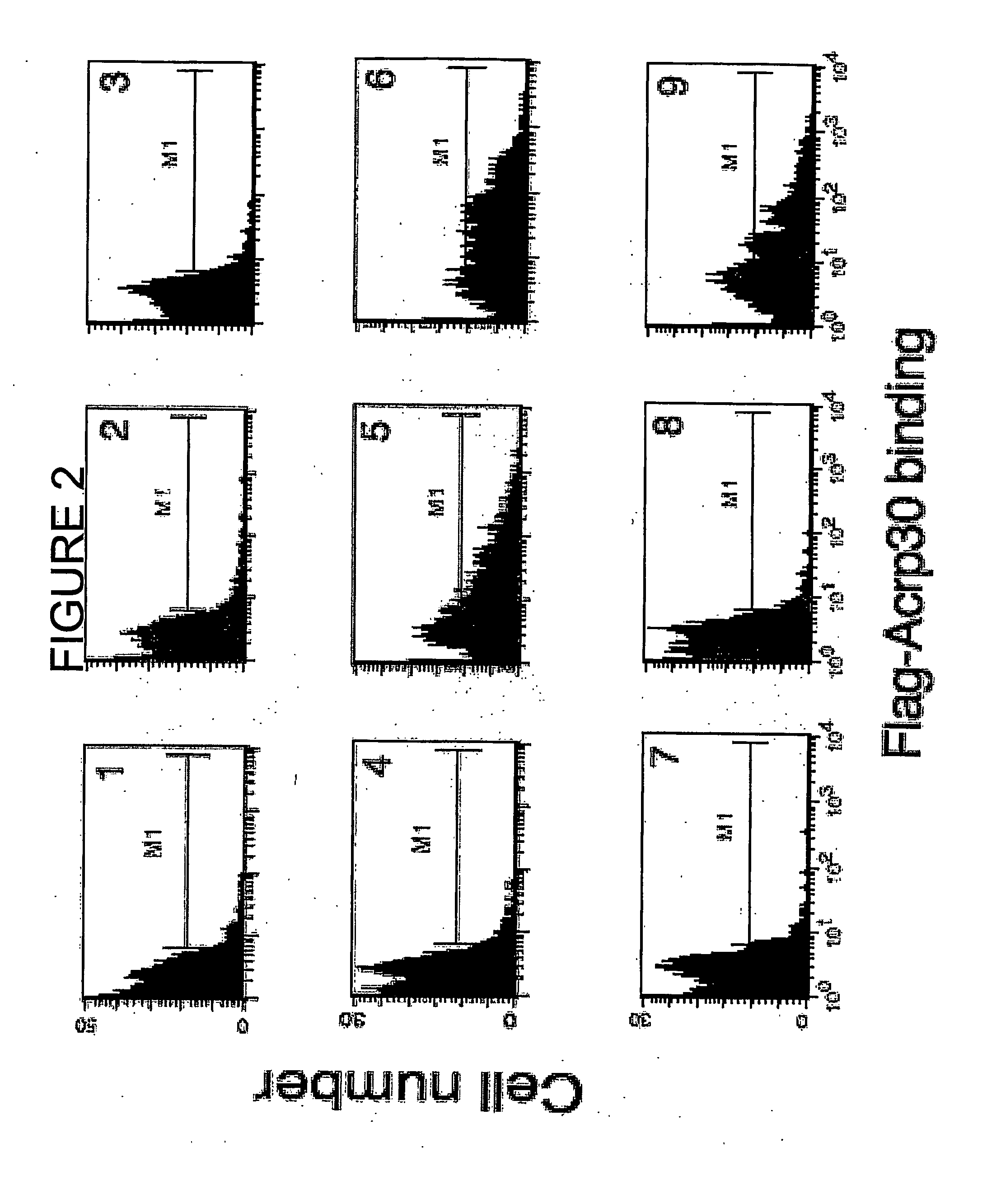 Use Of T-Cadherin As A Target