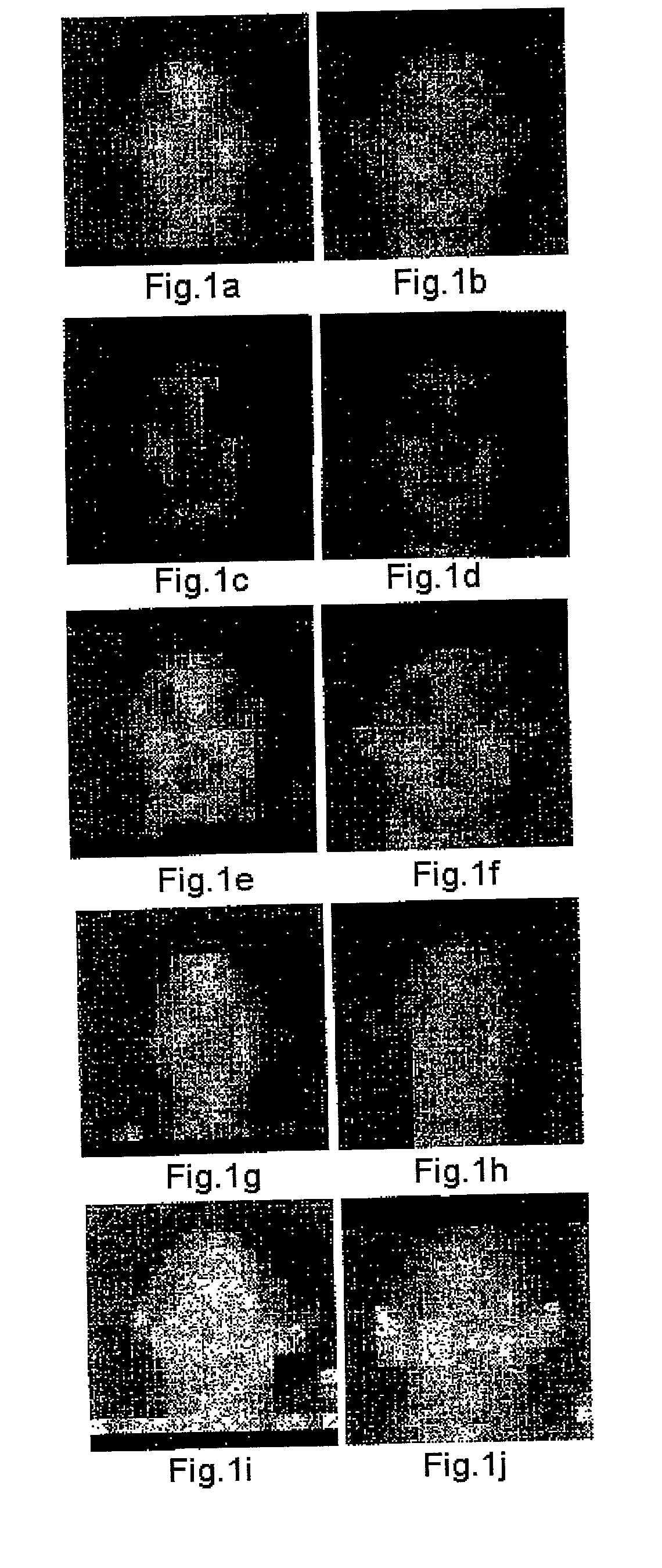 Image coding method and apparatus and image decoding method and apparatus