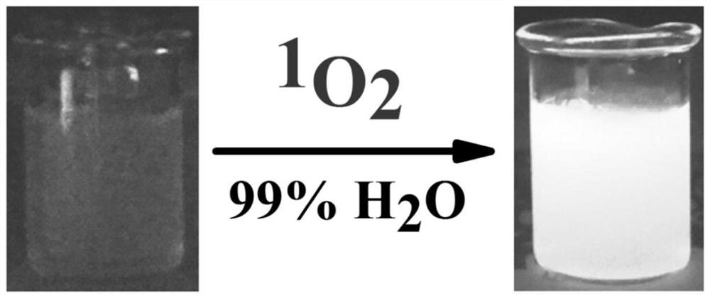 A highly selective aggregation-induced chemiluminescent probe for singlet oxygen, its preparation method and application