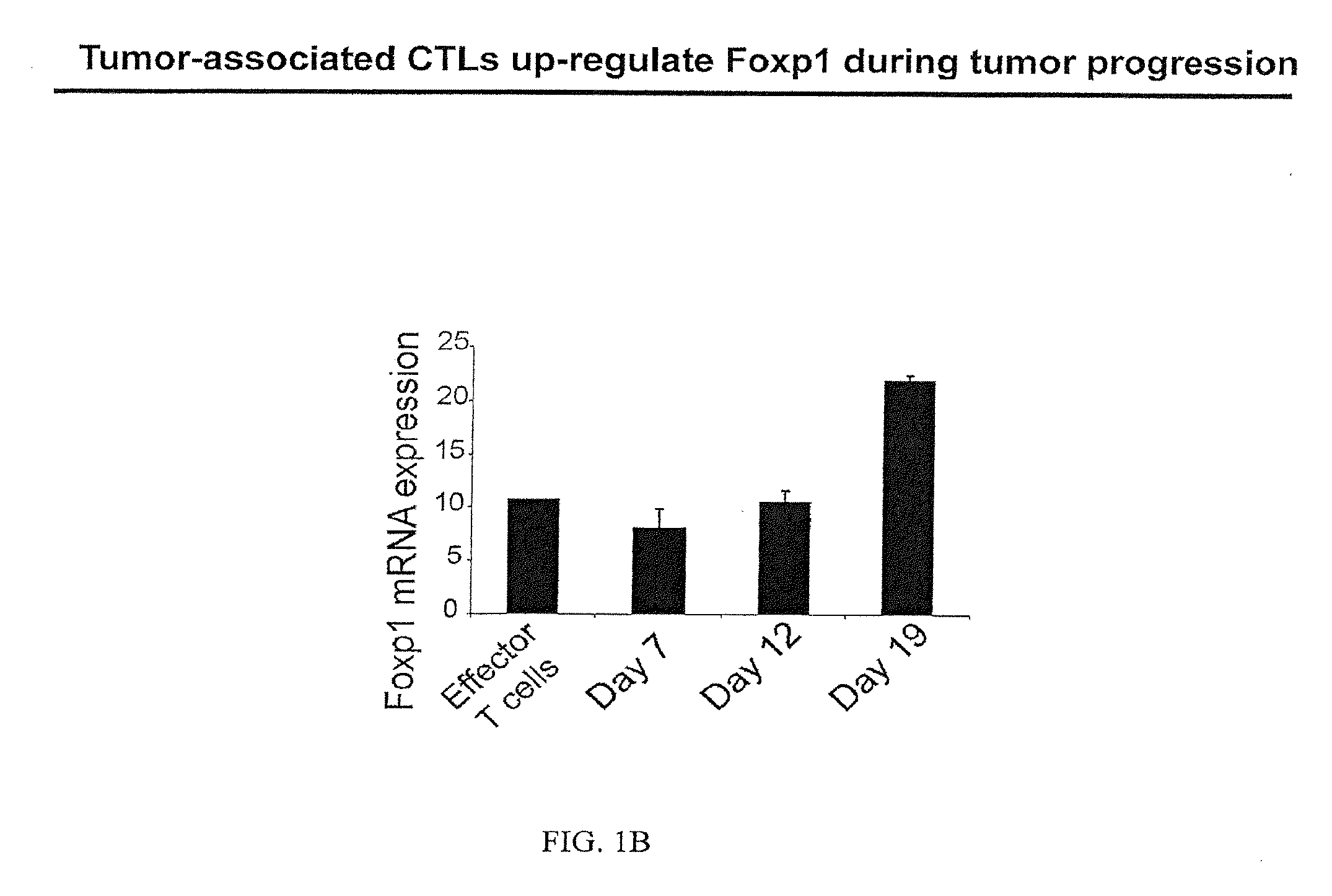 Methods and Compositions for Enhancing the Therapeutic Effect of Anti-Tumor T Cells