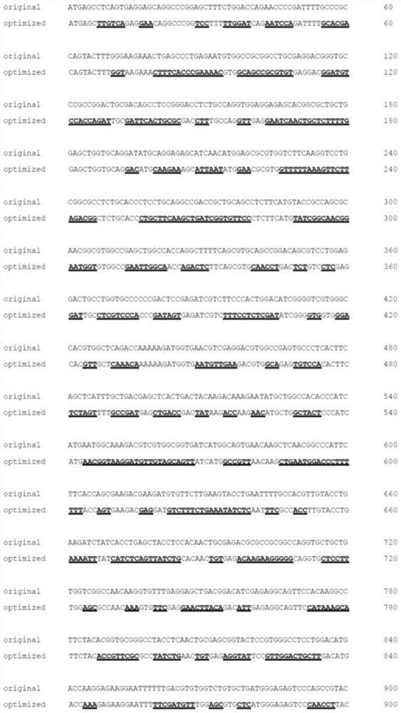 PDE6B nucleotide sequence and use thereof