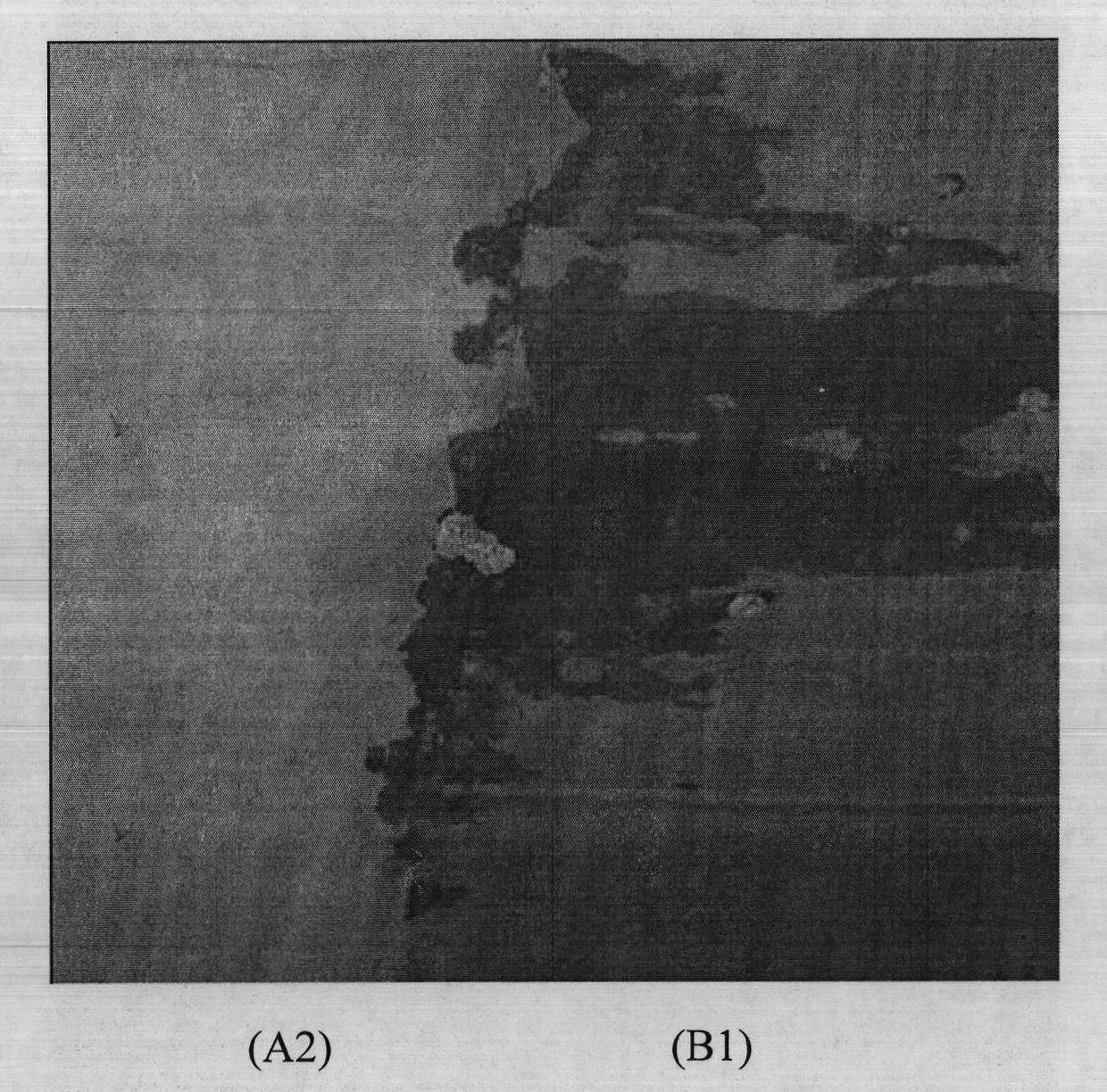 Anti-fouling coating material with excellent compatibility and use thereof