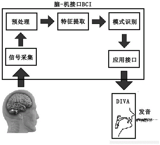 Electroencephalogram signal processing method based on DIVA model