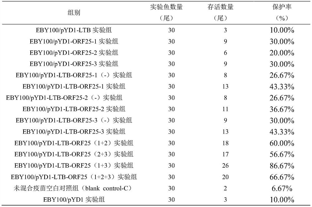 A kind of crucian carp hematopoietic organ necrosis yeast oral vaccine and its application