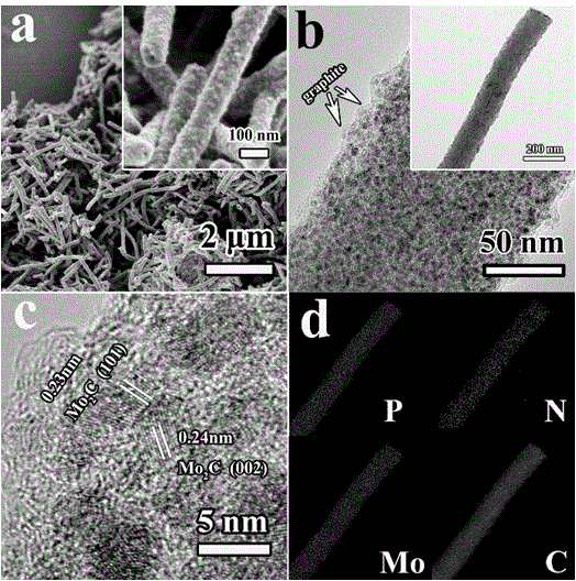 Nitrogen-doped graphite-loaded phosphorus-doped molybdenum carbide nanowire electrocatalytic hydrogen production catalyst and preparation method thereof