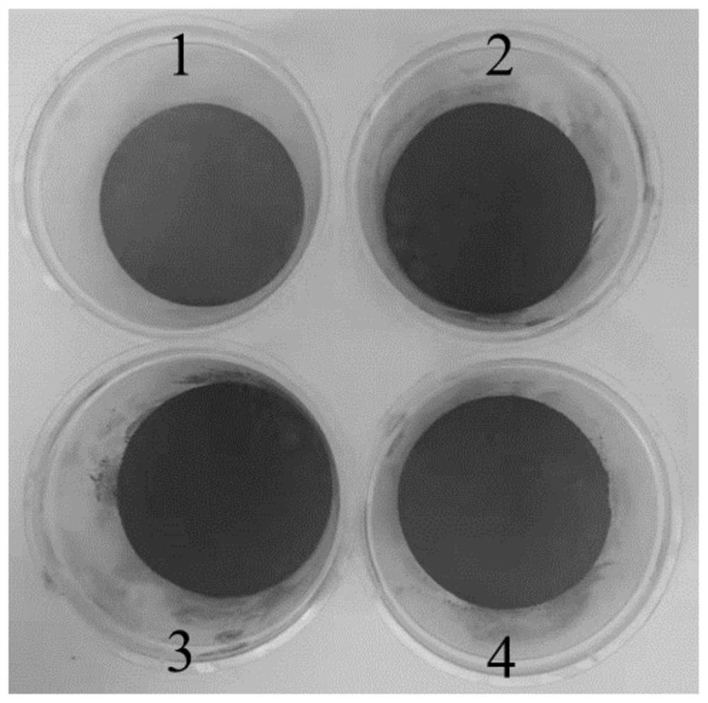 Construction method of acidic rice seedling raising soil rich in artificial humus