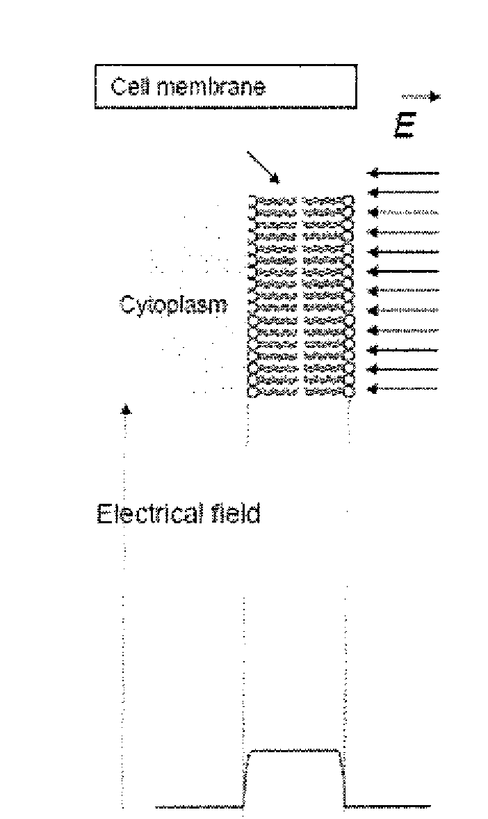 Non invasive method of electroporation mediated by carbon nanotubes and device for putting the method into practice