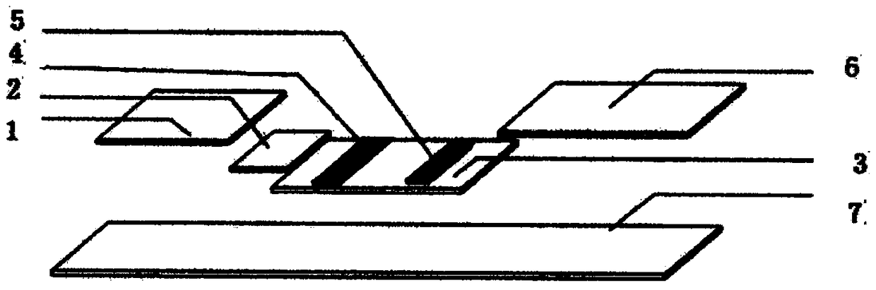 Portable test paper strip for detecting human anti-thyroglobulin antibody and preparation method of portable test paper strip