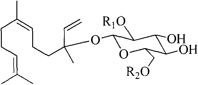 Loquat leaf total sesquiterpene extract as well as preparation method and application thereof