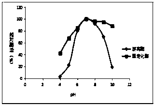 Preparation method of alginate lyase immobilized enzyme