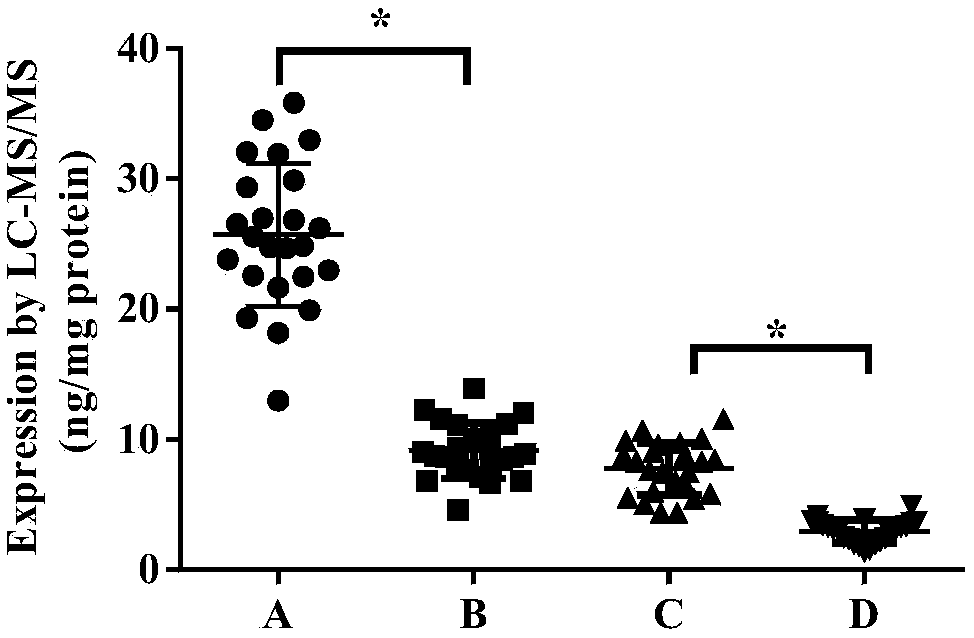 Detection method and detection kit for quantifying rat CYP2E1 enzyme based on characteristic peptide fragment