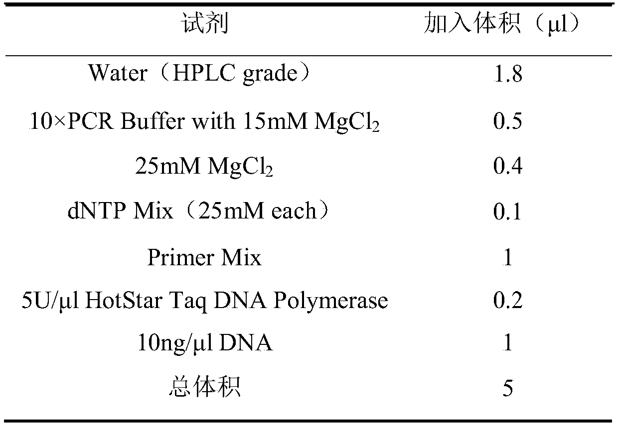 Single-nucleotide polymorphism marker locus, primer pair and kit for identifying single-petal/double-petal traits of peach blossoms and application