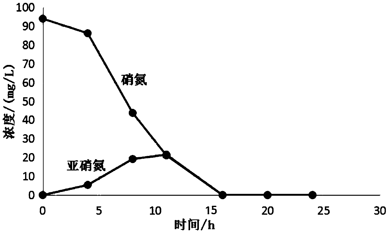 Immobilized microbial agent, and preparation method and application thereof