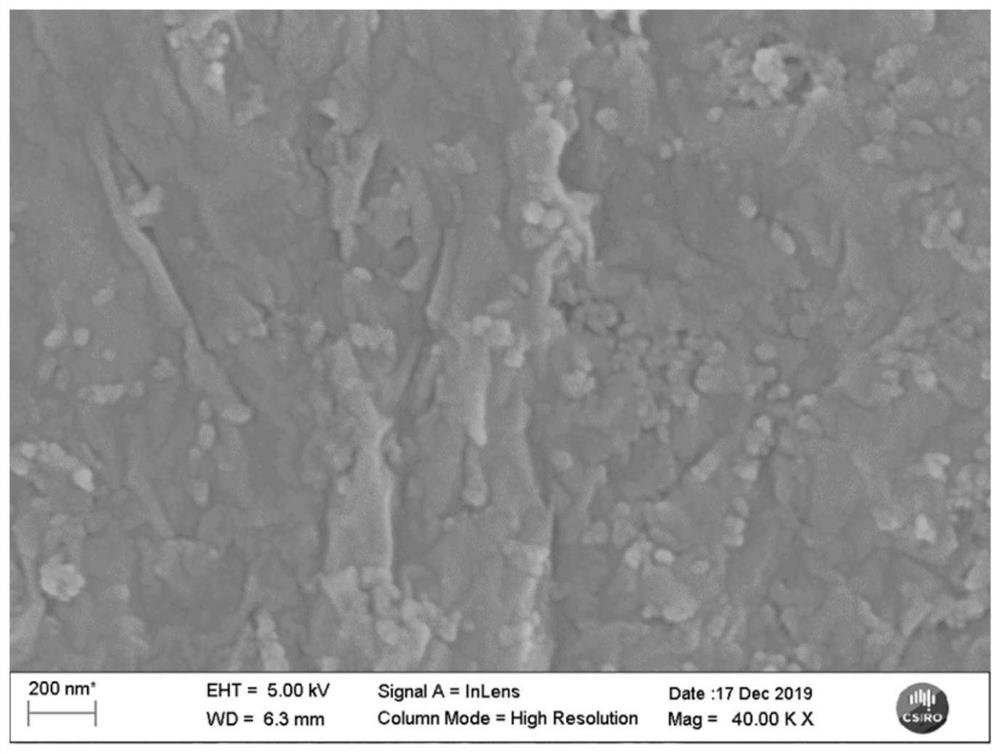 Spindle-shaped MXene-carbon nanotube two-dimensional film as well as preparation method and application thereof