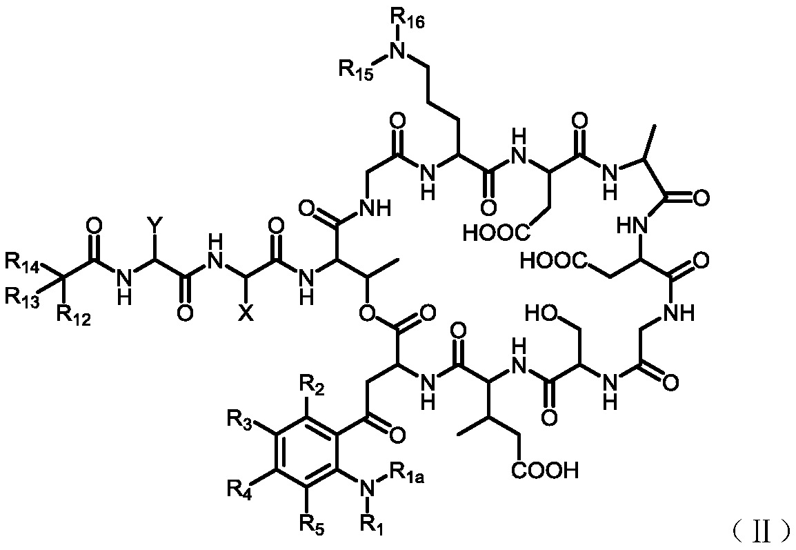 Novel antibacterial lipopeptide compound and preparation method and application thereof