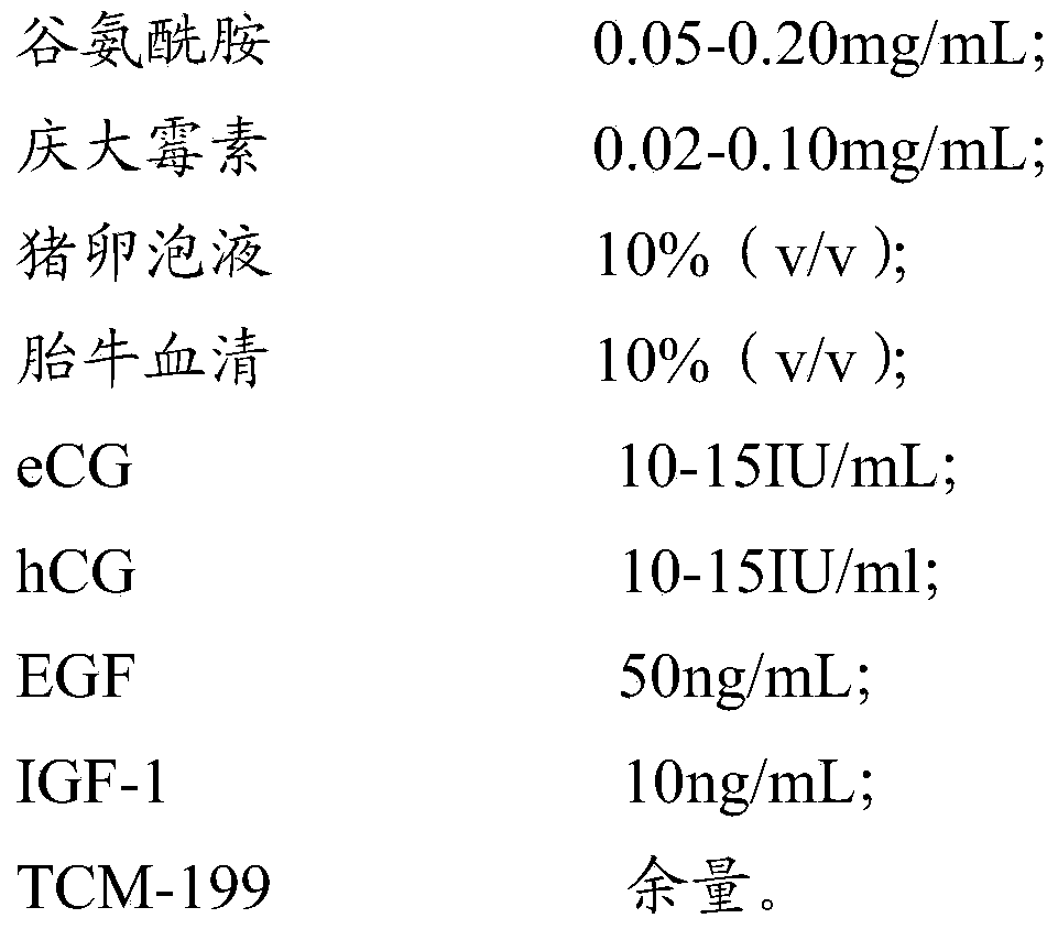 Porcine oocyte in vitro maturation medium and methods of preparation and culture