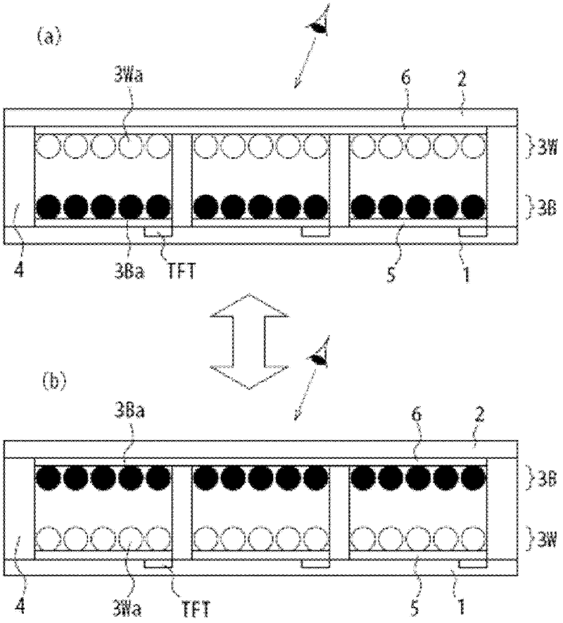 Particles for display medium and panel for information display using the particles for display medium