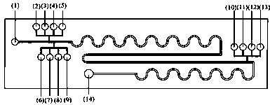 Preparation method of multistage sample injection micro-fluidic chip for synthesizing Ag/Ag2S/CdS heterojunction