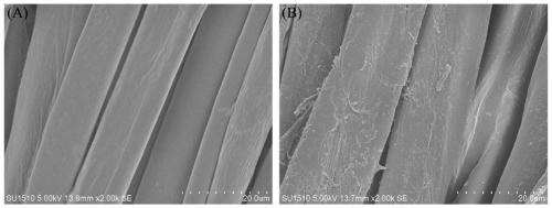 A kind of haloamine antimicrobial agent containing double active groups and its preparation method and application