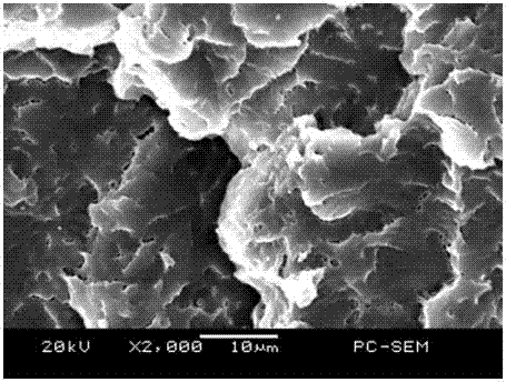 A kind of in-situ core-shell structure toughened polyoxymethylene and its preparation method