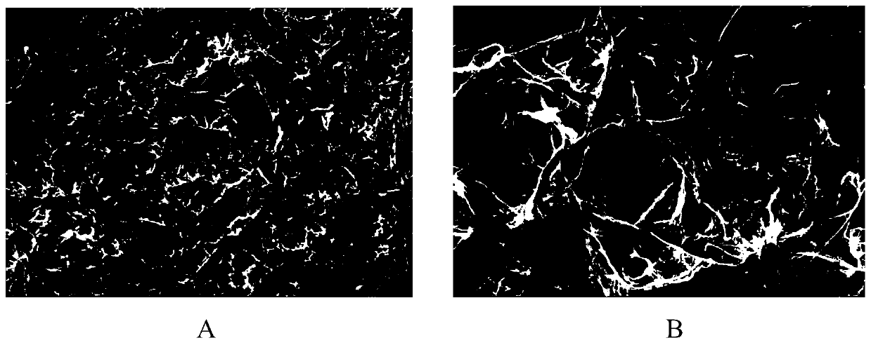 A controllable mixed nanofibril filter paper and its preparation method and application