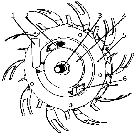 Air-suction cell seed distributor