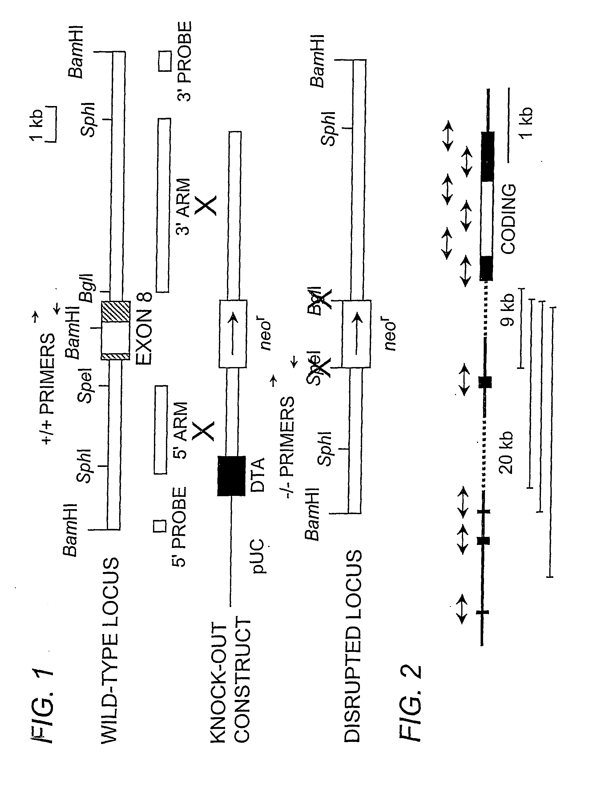 Animal Selected For Lacking Heparan Sulfate-3-O-Sulfotransferase-1 and Uses Thereof