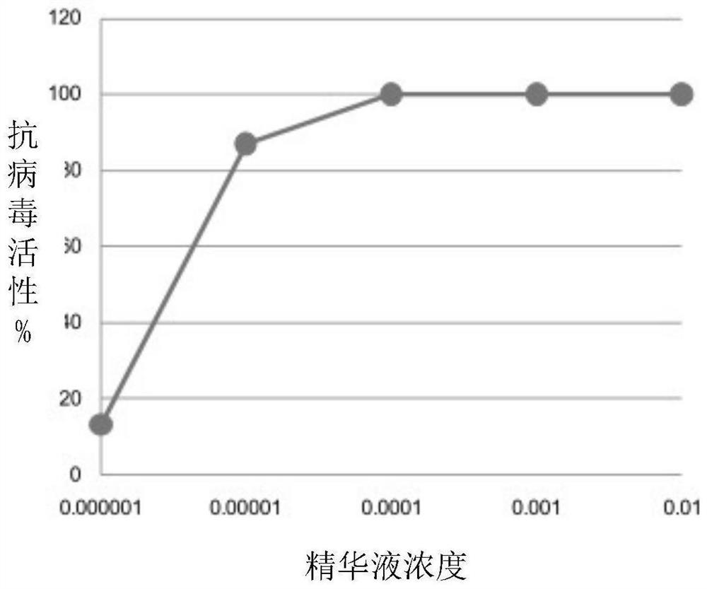 Private repair essence and preparation method thereof