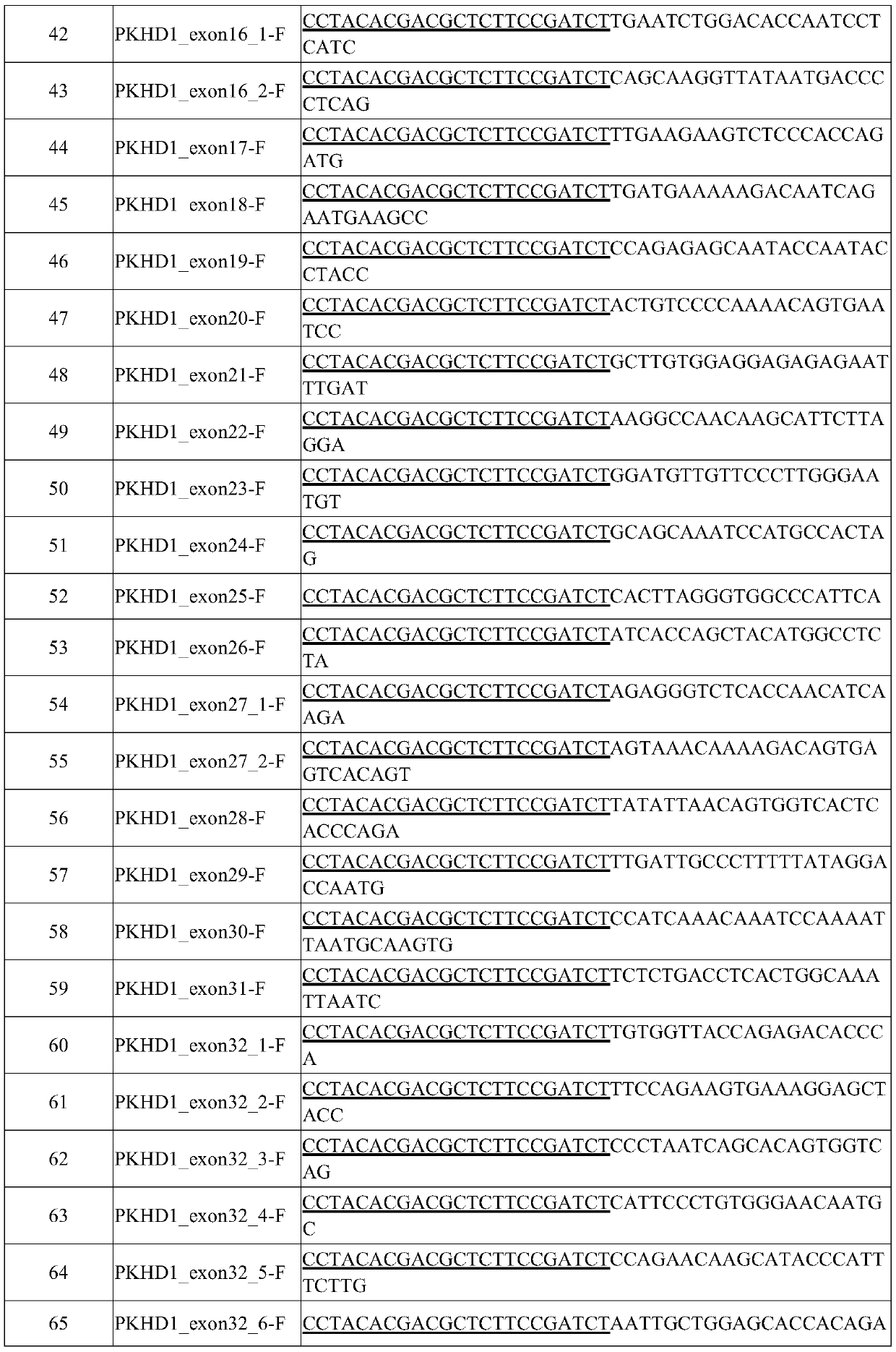 Method and kit for constructing pkhd1 gene mutation sequencing library and use thereof