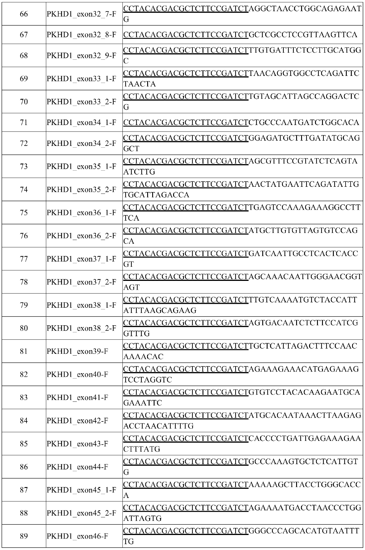 Method and kit for constructing pkhd1 gene mutation sequencing library and use thereof