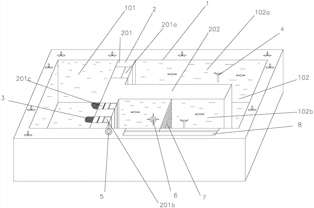 Functional pond for culturing mass freshwater fishes