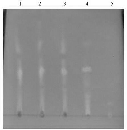 Medicine for treating thromboangiitis obliterans, preparation method and content determination method