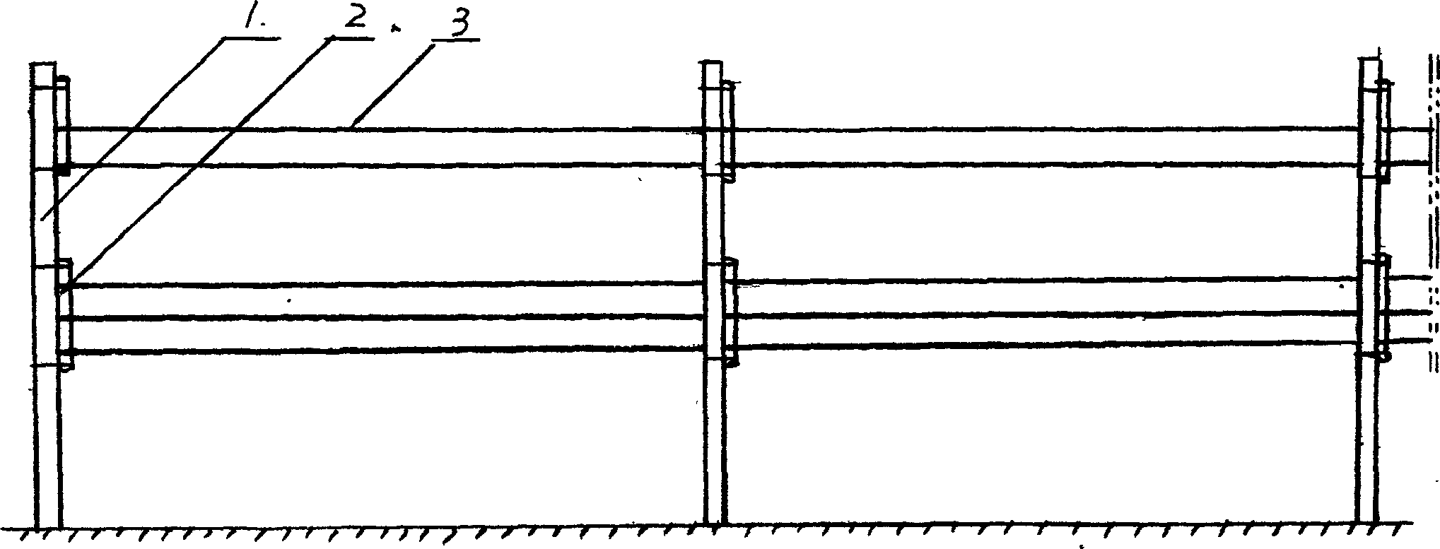 Double layer shelf for grape and culture method thereof
