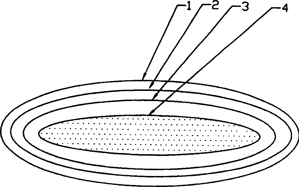 Medication in use for releasing fatigue and preparation method