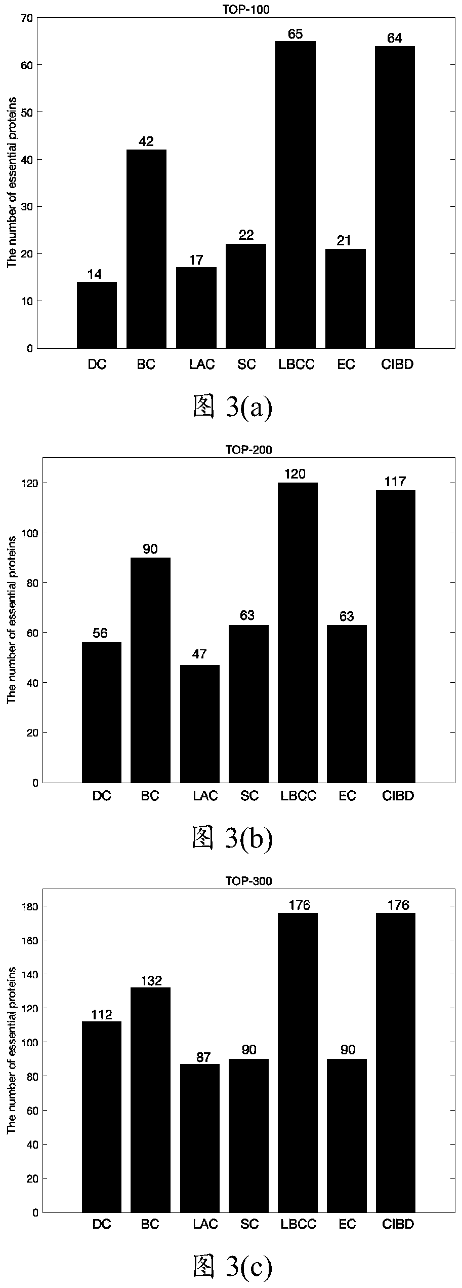 Key protein identification method and system based on protein node characteristics