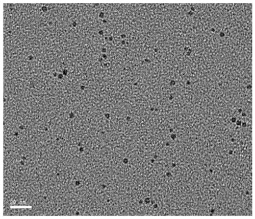A kind of preparation method of n-doped carbon quantum dots and its products and applications