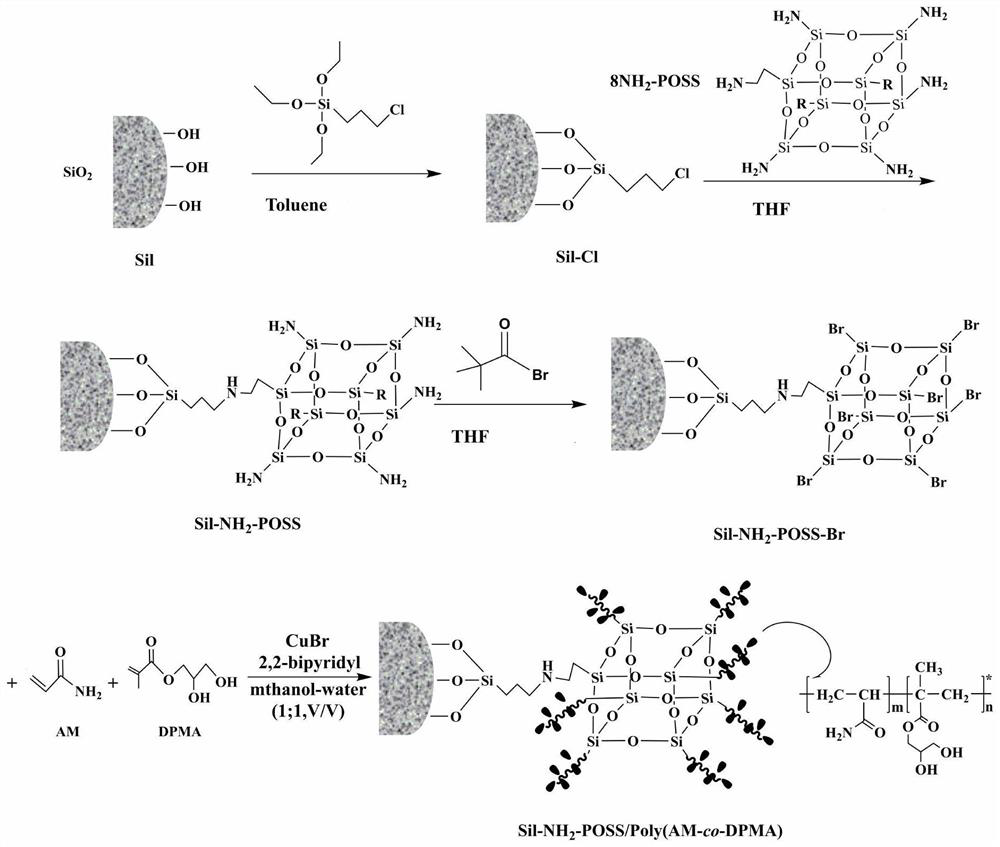 Hydrophilic chromatographic stationary phase with copolymer brush grafted on POSS silica gel as well as preparation method and application thereof