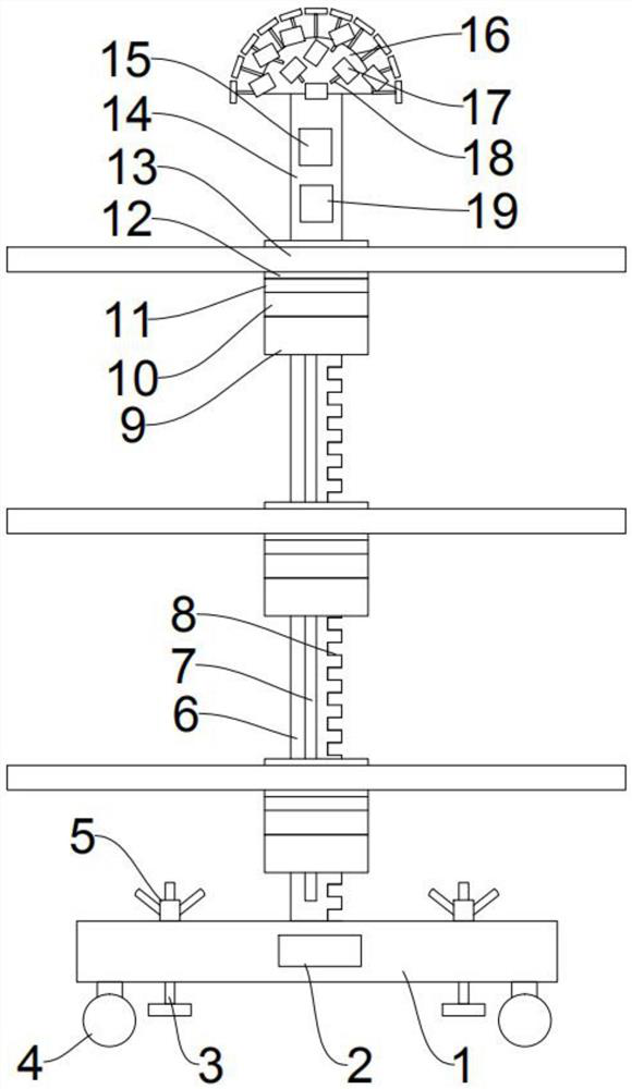 Walnut airing device