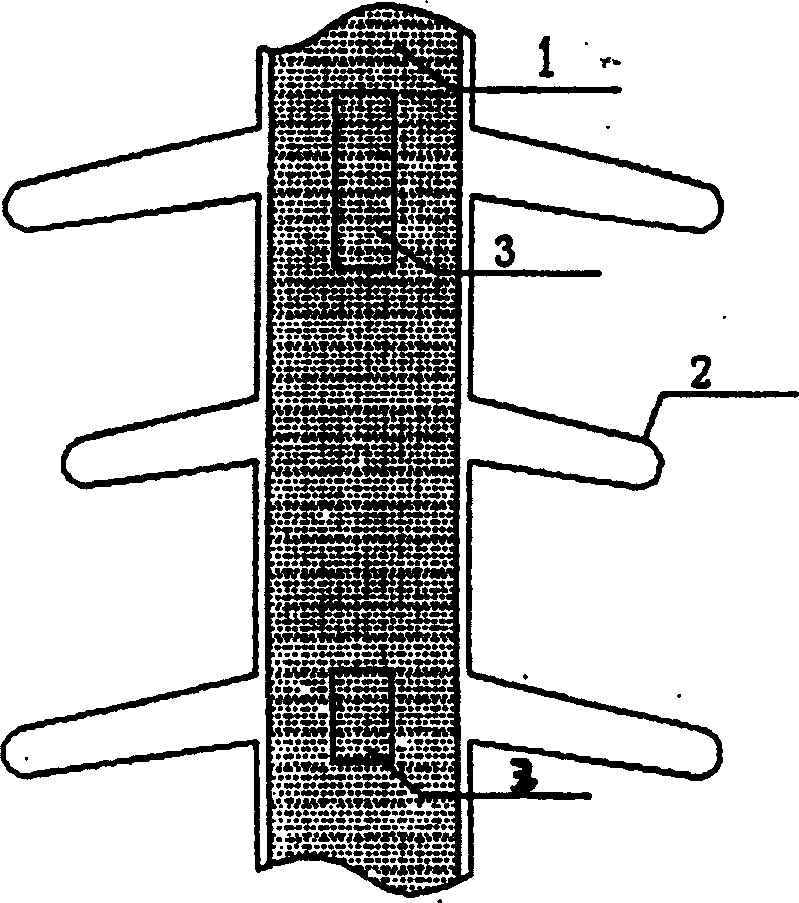 Compound insulator with core rod structure