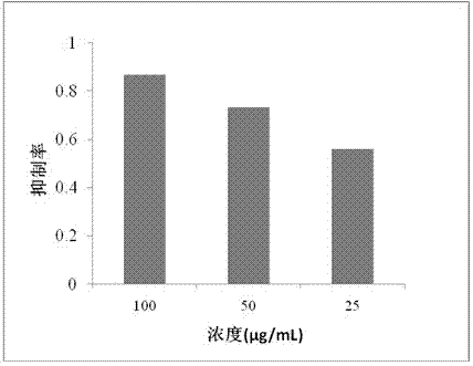 Active combined product extracted from leechee pulp, preparation method thereof and application thereof