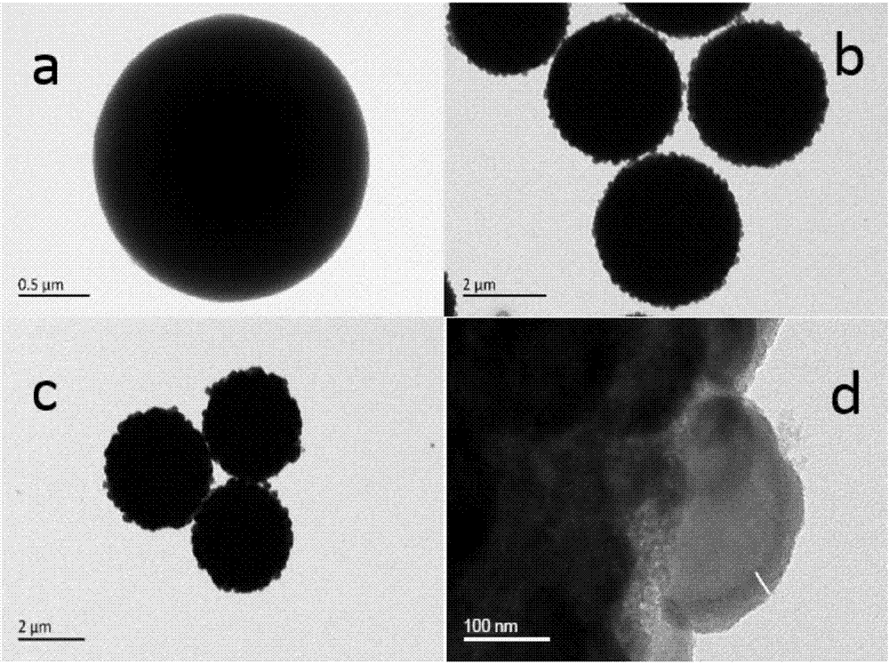 Pretreatment method for enrichment and solid-phase derivatization of sugar phosphate substances