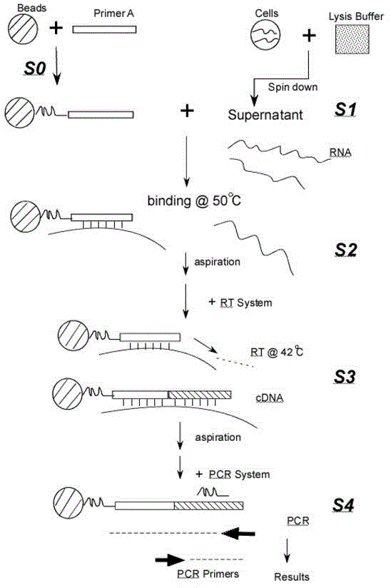 RNA one-step-lysis and one-tube RT-PCR detection method