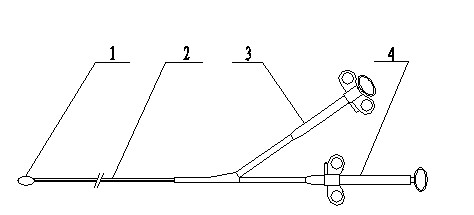 Medical multifunctional snare