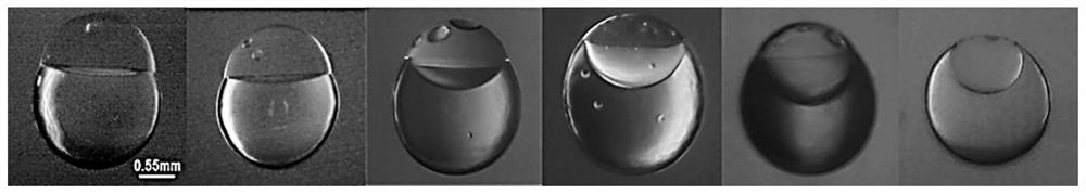 A janus droplet with structural color based on 3D droplet printing and its preparation method