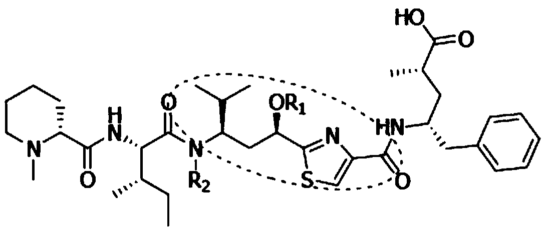 Synthetic method of key intermediate Tuv of natural anti-cancer drug Tubulysins