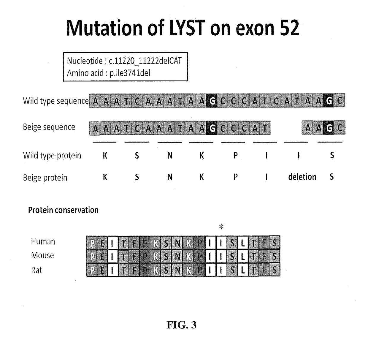 Compositions and methods for Anti-lyst immunomodulation