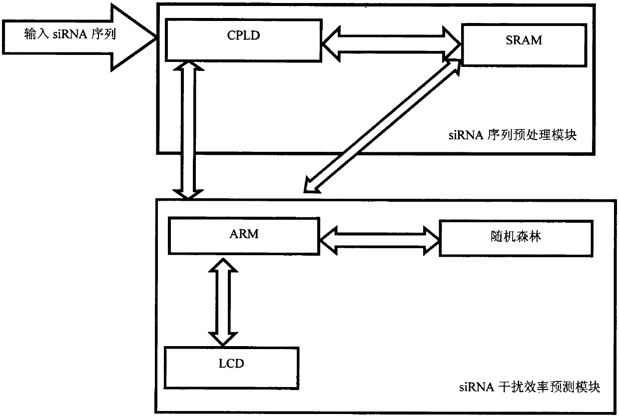 siRNA interference efficiency prediction system based on arm microprocessor