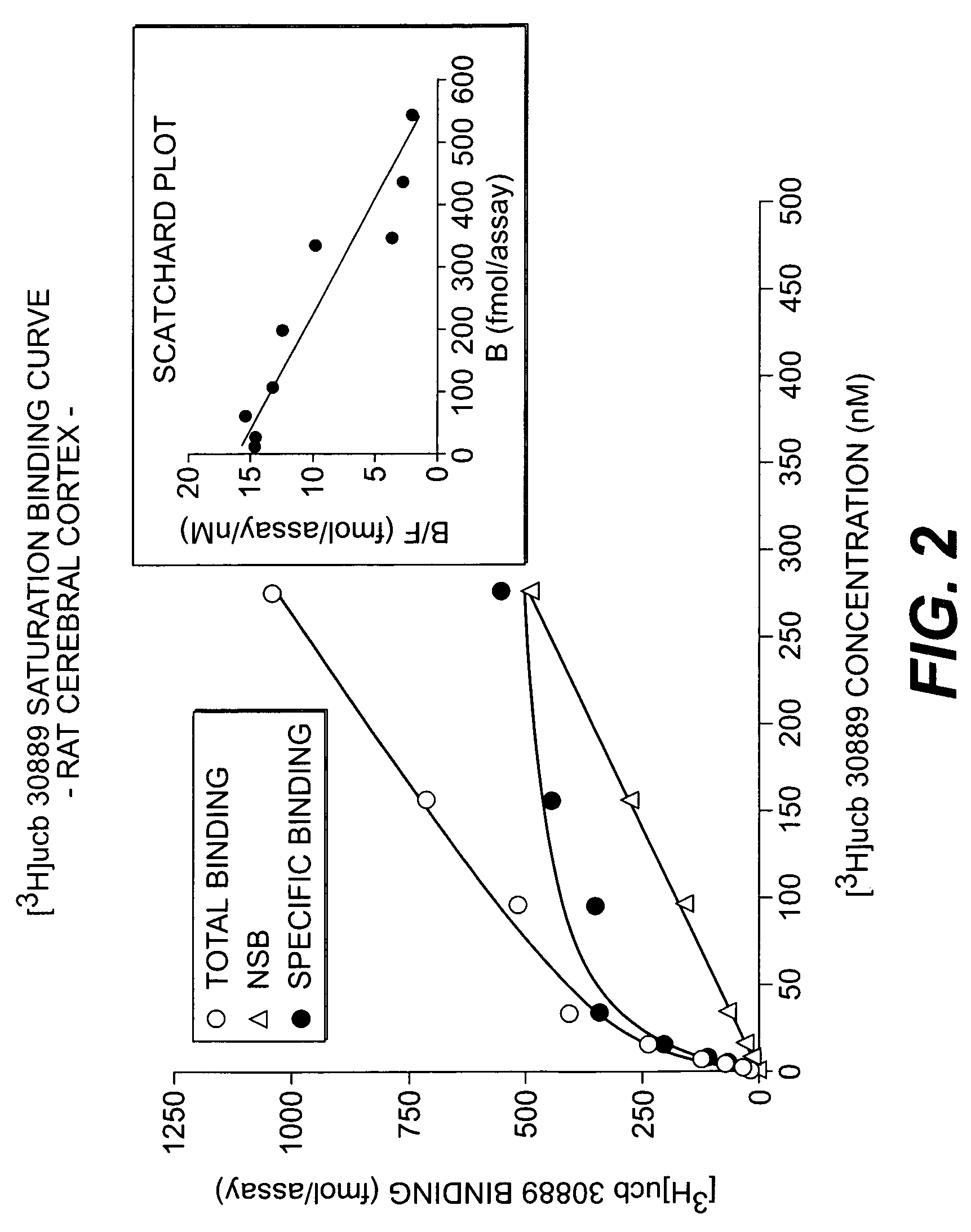 Methods for identifying agents that bind a levetiracetam binding site (LBS) or compete with LEV binding to a LBS of a synaptic vesicle protein 2 (SV2)