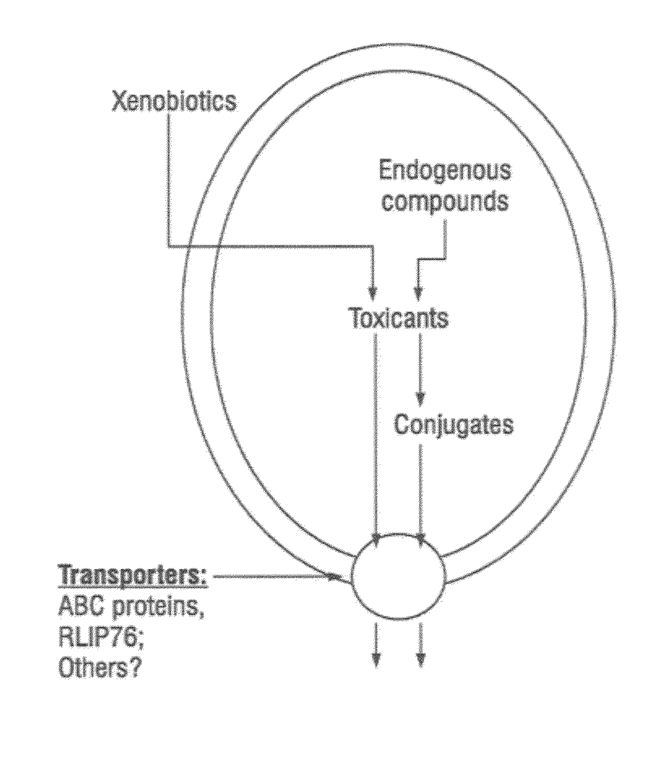 Protection Against and Treatment of Ionizing Radiation